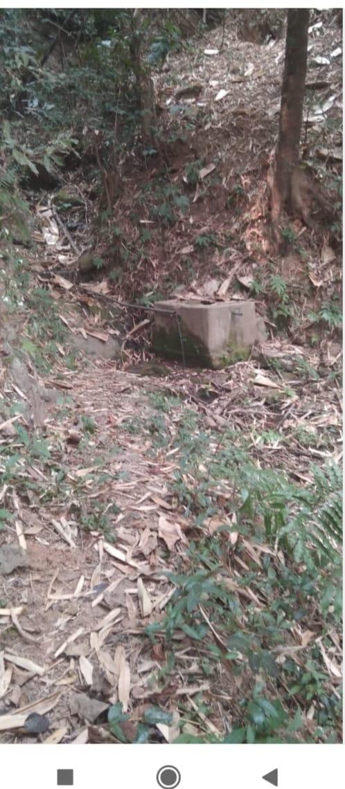 C:\Users\Lavinia Pde\Downloads\WhatsApp Image 2023-02-02 at 10.11.54.jpeg